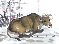 滴天居士2017年8月生肖牛运势