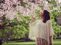 浮图塔2017年8月份生肖牛运程