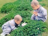 只有本命年才能佩戴本命佛吗