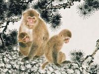 泓翔2017年8月生肖猴人际关系运势