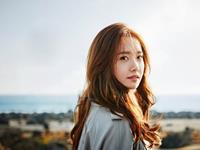 这些生肖内心丰富，不害怕独处