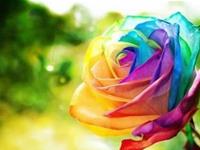 你的朋友圈超容易被人屏蔽吗