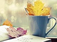 对12星座而言最痛苦的事情