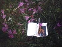 巨蟹座寂寞时的表现