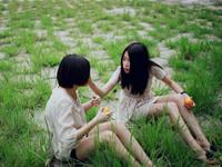 12星座之小心眼排行榜