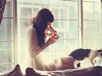 泓翔2017年9月生肖马财气运势