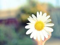 泓翔2017年9月生肖龙事业运势