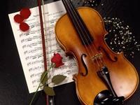 双子座讨厌和哪个星座做朋友