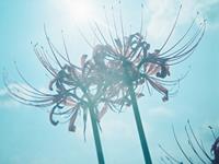 摩羯座的吵架开场白