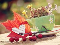 董易林2017年9月生肖马运势