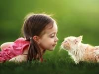 Alex天蝎座2017年9月运势