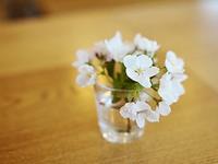 知命独家2017年9月生肖鼠运势