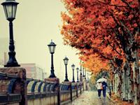 金牛座最喜欢干的三件事