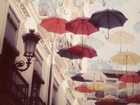 狮子座最喜欢干的三件事