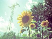 塔罗右手一周塔罗运势（9.11-9.17）