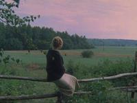 占卜你的生活压力源于何处