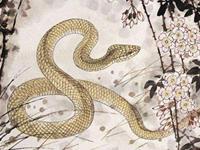 属蛇人2019年运势 2019年属蛇人的全年运程