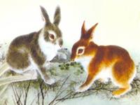 1951年属兔的人2019年运势及运程大全解析