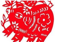 1971年属猪的人2019年运势及运程大全解析