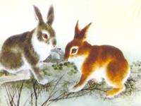 1987年属兔的人2019年运势及运程大全解析