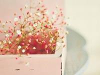 把对一个人的好感表现得十分隐晦的星座