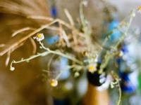 柒爸2017年10月天蝎座运势