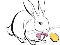 2018年属兔人怎么提升健康运