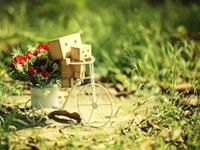 董易林2017年10月生肖鼠运势