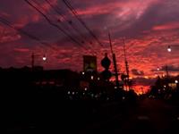 白天做的梦和晚上做的梦区别在哪里