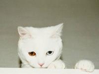 A微日记2017年10月天蝎座运势