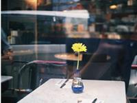 塔罗右手一周塔罗运势（10.9-10.15）