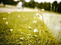 双子座爱八卦吗