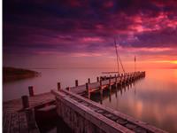 紫微斗数廉贞星2018年运势