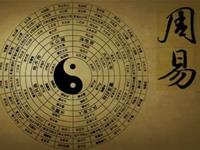 什么生肖的人学周易最有潜力