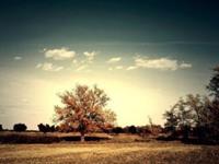 盘点：真诚颜值还高的星座