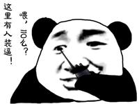 心直口快，一根筋扯到底的生肖