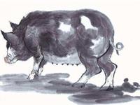 羲邑师姐2017年11月生肖猪运势