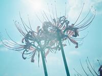 天蝎座最抠（省钱）的地方在哪