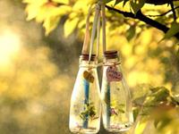 摩羯座最抠（省钱）的地方在哪