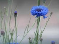 盘点：难追又难分的星座