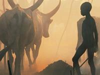 会让你破财的风水习惯有哪些