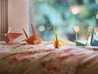 泓翔2017年11月生肖猴财气运势