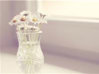 Pandora占星小巫本周塔罗运势（10.30-11.5）