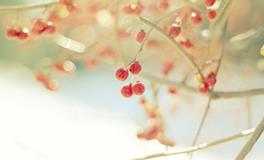 2018年命宫太阴星运势