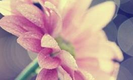 盘点：三观最正的星座