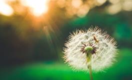 巨蟹座最令人讨厌的地方