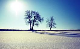 射手座最令人讨厌的地方