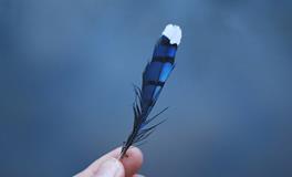 狮子座最受不了的10件事