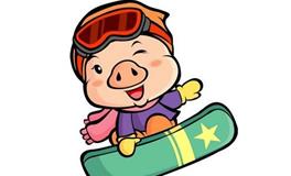 李云天生肖猪2017年12月运程