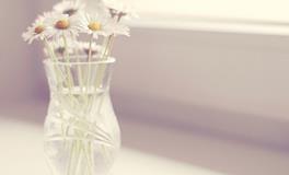 泓翔2017年12月生肖猪学业考试运势